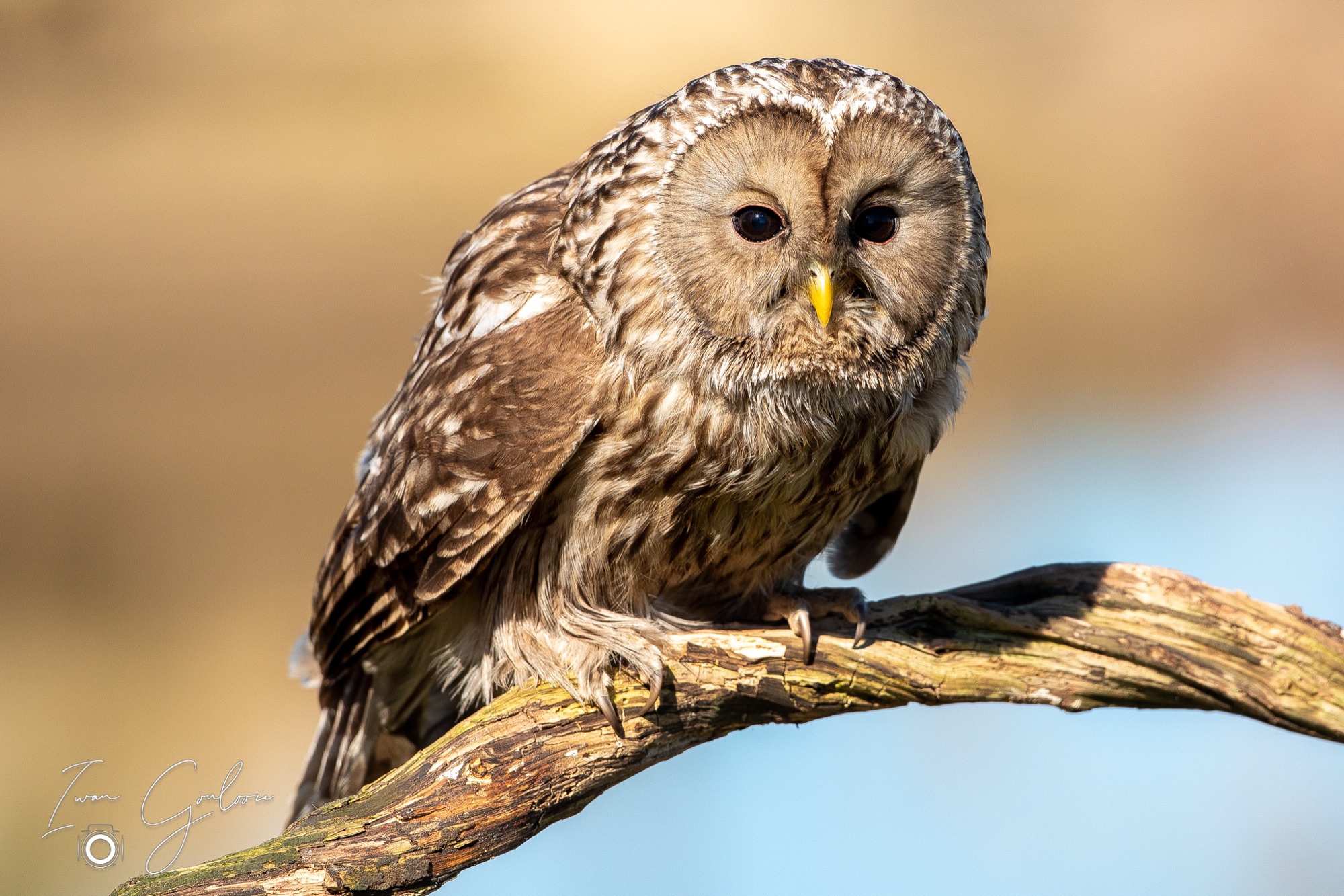 27 maart 2022 154859  5D45238